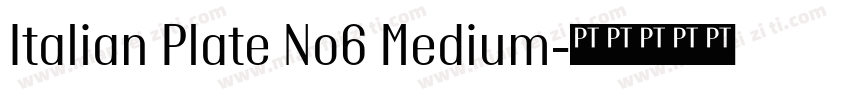 Italian Plate No6 Medium字体转换